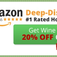 Perfect Wine Lover Gift “ Zazzol Wine Aerator – 20% OFF NOW #HolidayGiftGuide100Bloggers