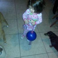 Tuggo Toys - Dog Toy Review & Giveaway Ends 2/21 @tuggodogtoy