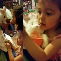 New Traditions: Easter Bunny With A Basket and Golden Egg! #EasterTraditions #EasterBunny #GoldenEgg